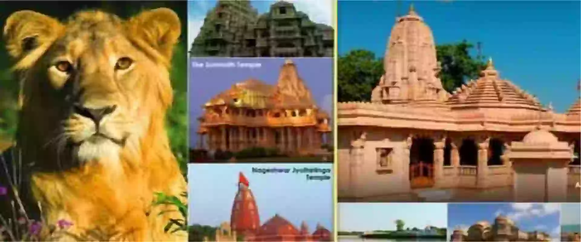 Taxi Service In porbandar